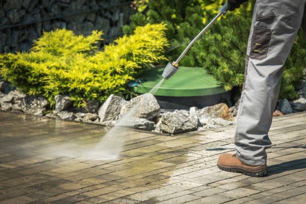 Best Animal Enclosure Cleaning  in Lyons, NJ